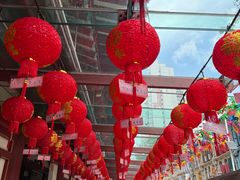 -新加坡佛牙寺龙华院