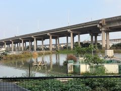 -辉记虾塘海鲜农庄