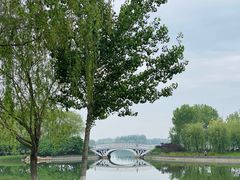 -大兴滨河森林公园