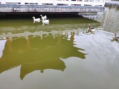 -雁滩公园