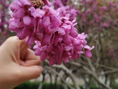 -山东师范大学(千佛山校区)