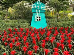 -南宫五洲植物乐园