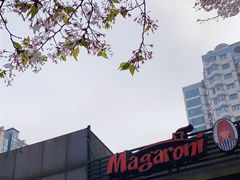 -玛格萝妮比萨屋(四平店)