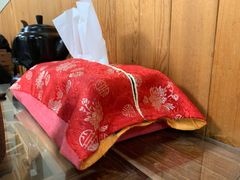 -丽江庭院之丽江往事(安定门店)