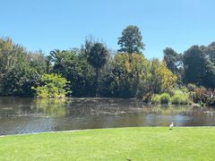 -墨尔本皇家植物园