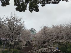 -南山植物园