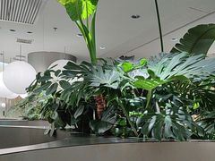 -枕水江南(铁西万象汇店)