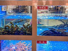 -石锅苗苗鱼(武汉首店)