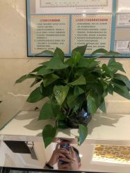 点击看大图 -昆明梦想医疗美容医院