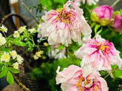 -我嘉书房(南翔名士居店)