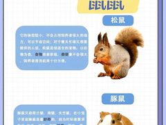 -爱侣宠医·鹦鹉专科·小型哺乳类·异宠专科(灵石路店)