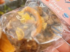 堆肥饼干-Mesa Madre梅萨妈妈·Bintana(国贸店)