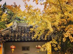 -北寺塔