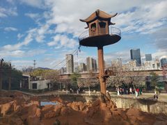 -昆明动物园