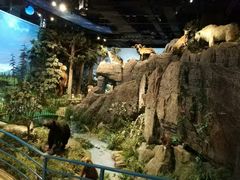 -陕西自然博物馆