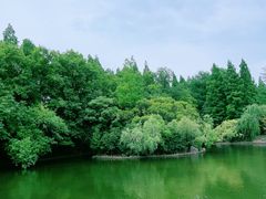 -上海滨江森林公园