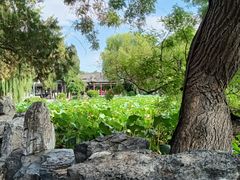 -莲池书院博物馆