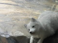 -香港海洋公园