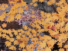 -本溪老边沟风景区