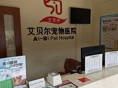 -艾贝尔宠物医院 ·内科全科(梁溪路店)