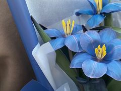 -吾生 My life花坊(复兴西路洋房店)