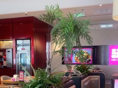 -老板恋上鱼(恒隆广场店)