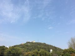 -上海佘山国家森林公园西佘山园