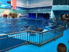 -多彩贵州城极地海洋世界