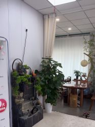 -宝妈港湾·妙初产后恢复(西局店)