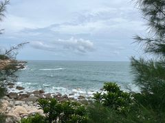 -广东惠东海龟国家级自然保护区