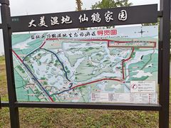 -盐城丹顶鹤湿地生态旅游区