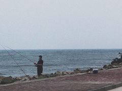 -南戴河旅游度假区