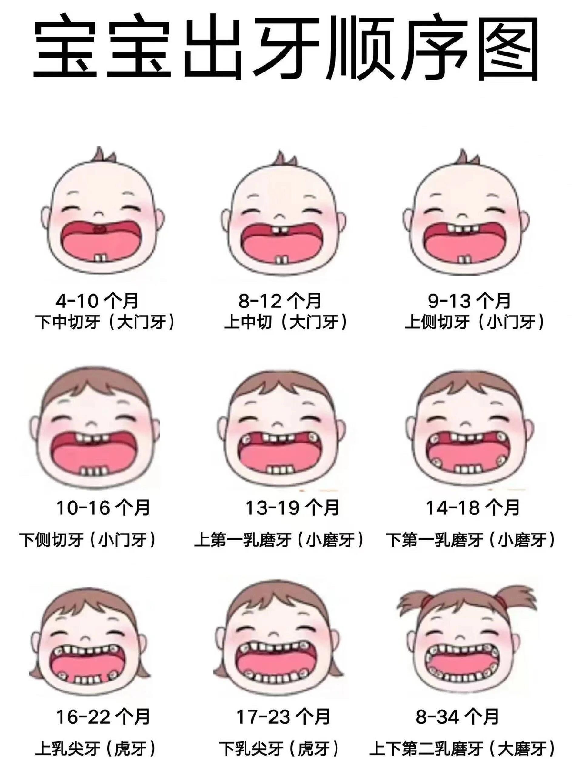 🎶宝宝出牙顺序详解图‼️快帮宝宝收藏