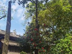 -宁波美术馆