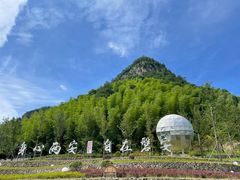 -花溪风景区