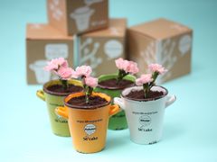 -托斯卡纳烘焙意大利餐厅(五天地店)