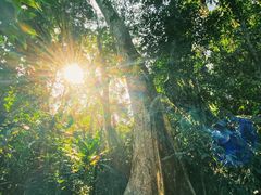 -中国科学院西双版纳热带植物园