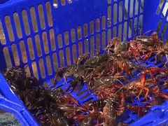 -盒马鲜生(皇庭广场店)