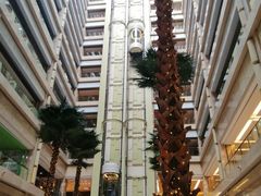 -青岛景园假日酒店-自助餐厅(城阳店)