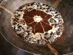 -文和友老长沙臭豆腐(太平街二店)