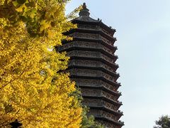 -玲珑塔公园