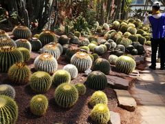 -亿利库布其七星湖沙漠生态旅游区