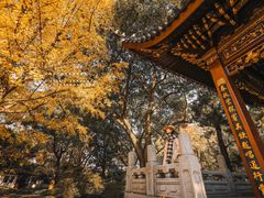 景点-汇龙潭