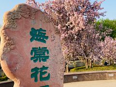 -海棠花溪(元大都城垣遗址公园)