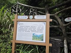 -矮寨·十八洞·德夯大峡谷景区