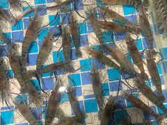 -醉湘厨艺(才华街店)