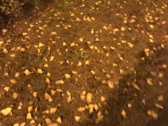 -大桶大足浴(南翔店)