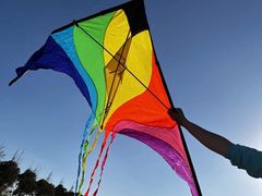 -春花秋色城市公园