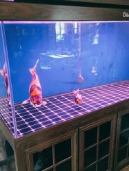 -青木造型HAIR·あおき髪を刈る潮人店