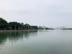 -白鹭洲公园